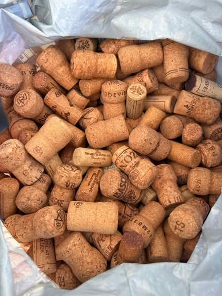 Photo of free Bag of corks (Twickenham) #1