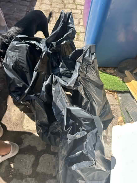 Photo of free Sand for building or garden (L15) #3