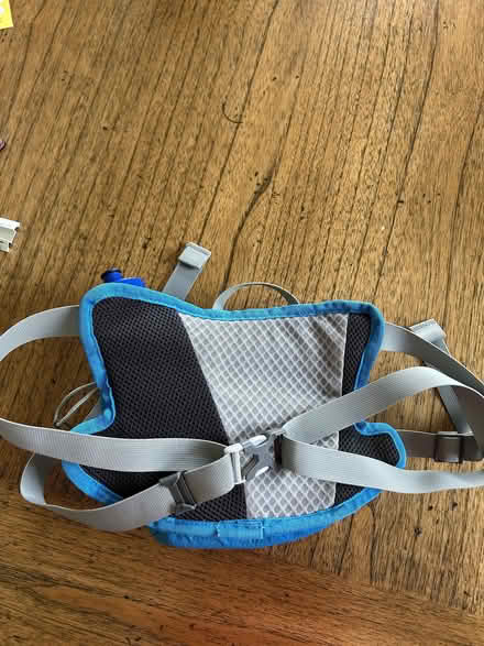 Photo of free Waist-Hip bag for Runners - Walkers (Dean EH4) #3