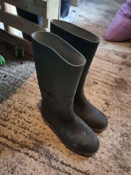 Photo of free Adult wellies, dark green, size 11 (St Ives PE27) #1