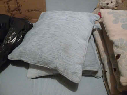 Photo of free Cushions (CT12) #1