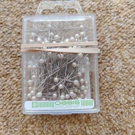 Photo of free Pins (Me14 2ha) #1