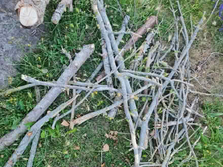 Photo of free firewood (Off Grove Road Rayleigh SS6 8) #2