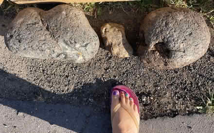 Photo of free Large flint stones (BuryStEds IP33) #1