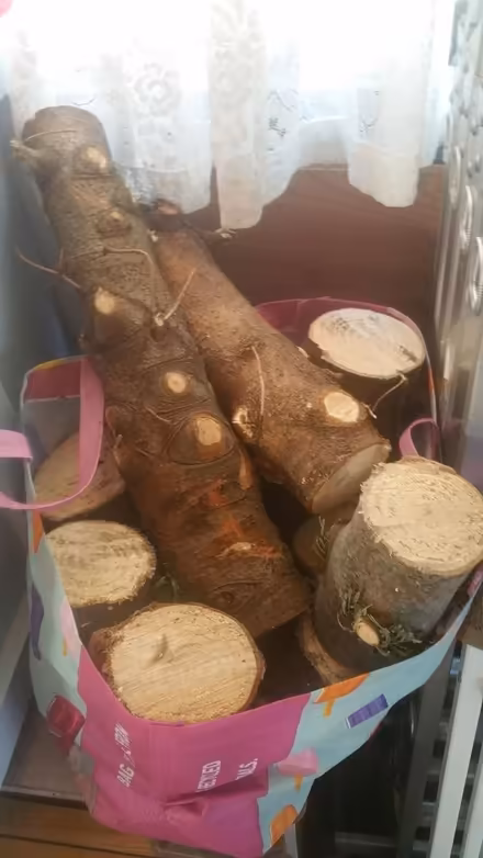 Photo of free Trunks from Xmas trees (Parson cross S5) #2