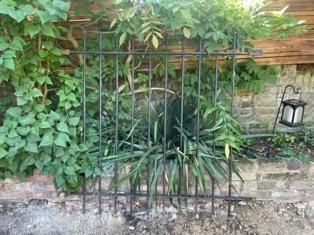 Photo of free Iron Window Bars (150x150) (Hackney E9) #1