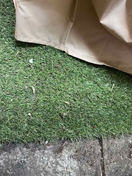 Photo of Old asto turf (Paulton BS39) #1