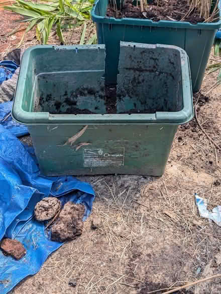 Photo of Planters (Portobello WV14) #1