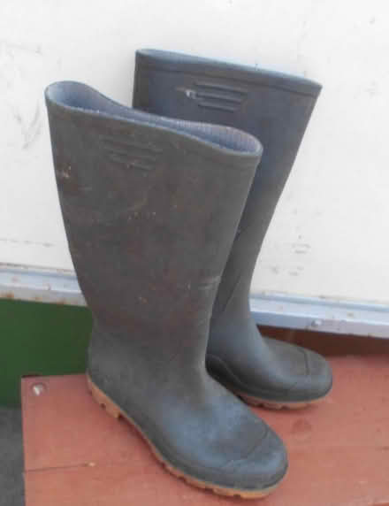 Photo of free ladies green wellies size 5 (Newborough) #1