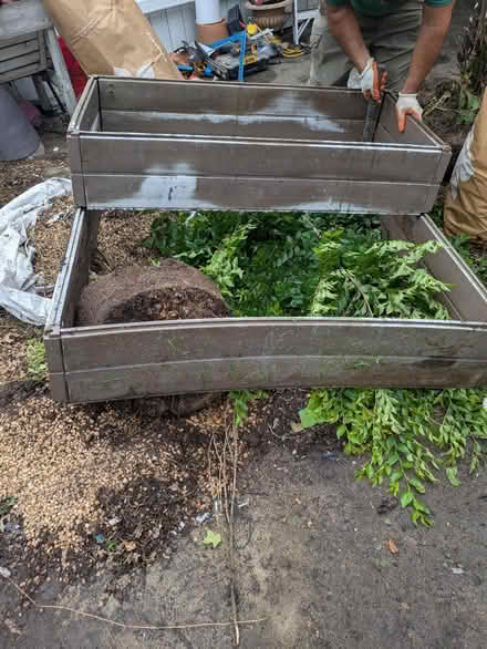 Photo of free 6 Raised beds (Brightwood NW DC) #3