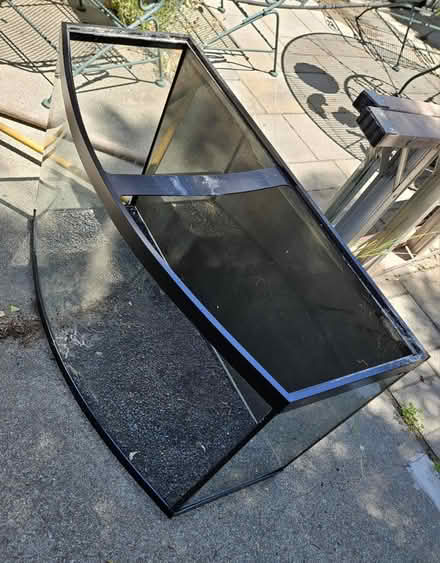 Photo of free 55 gal bowfront aquarium and stand (92 & Alameda de las Pulgas) #2
