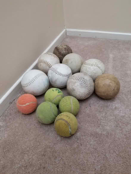 Photo of free Softballs & tennis balls (Centrepointe) #1
