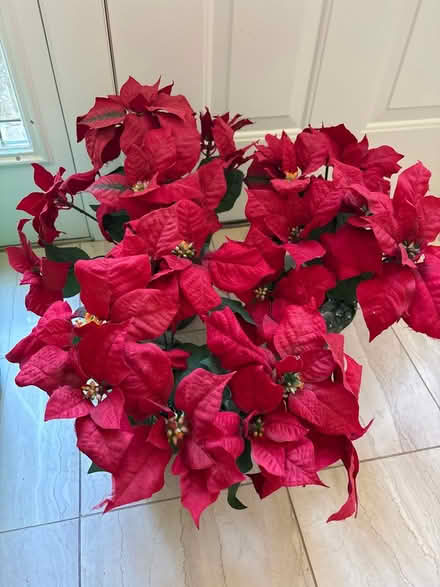 Photo of free 3 artificial Poinsettias in pots (Darien) #1