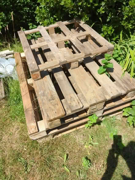 Photo of free Pallets (CB3) #1