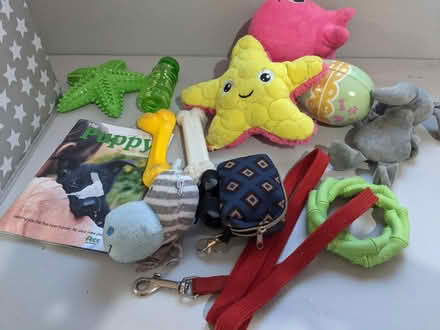 Photo of free Puppy / small dog bundle (EH5, Granton, Edinburgh) #2