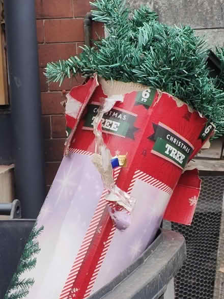 Photo of free 6 foot Christmas tree (headingley LS6) #1