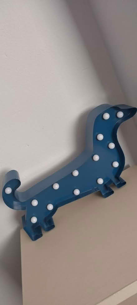 Photo of free Sausage dog light (NG10) #2