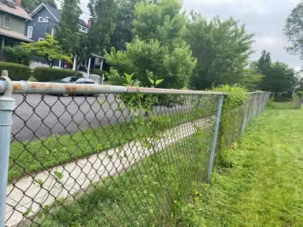 Photo of free fence (Minor park) #4