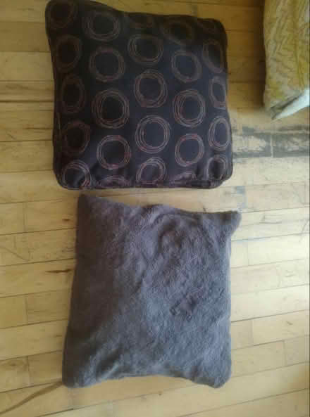 Photo of free Throw pillows (East Harlem) #1