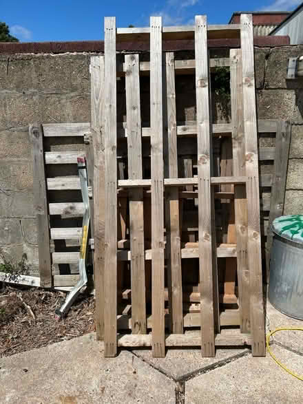 Photo of free Long pallets (Gedling NG4) #1