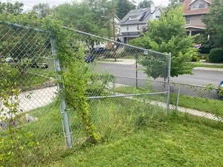 Photo of free fence (Minor park) #3