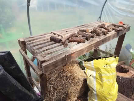 Photo of free Potting shed benches (Standerwick BA11) #2