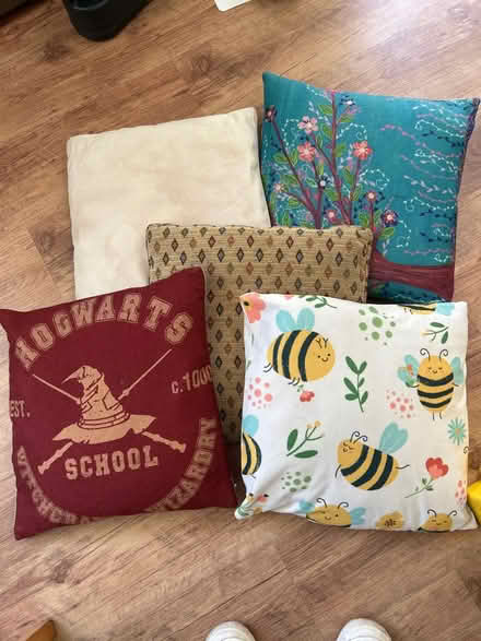 Photo of free 5 cushions and inners (CH61) #1