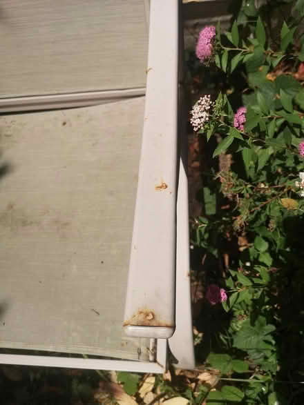 Photo of free Metal Framed Garden Sofa (Wollaton NG8) #2