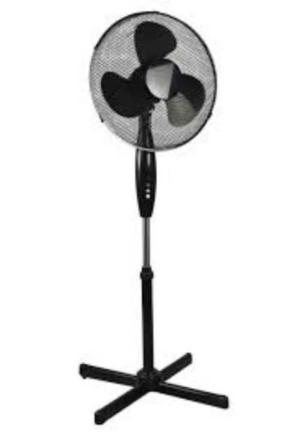 Photo of Fan (Crawley RH11) #1