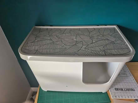 Photo of free XL cat litter tray (Leith EH6) #2