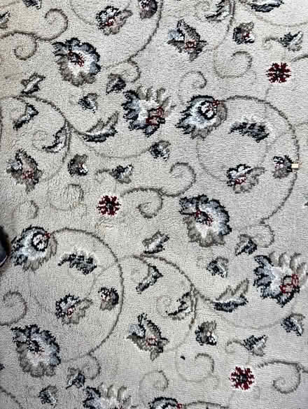 Photo of free Carpet (Sunderland SR4) #1