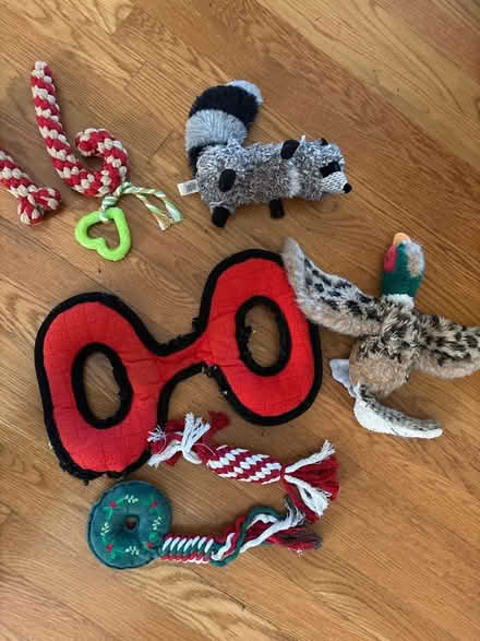 Photo of free Used dog toys (Darien) #1