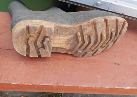 Photo of free ladies green wellies size 5 (Newborough) #2