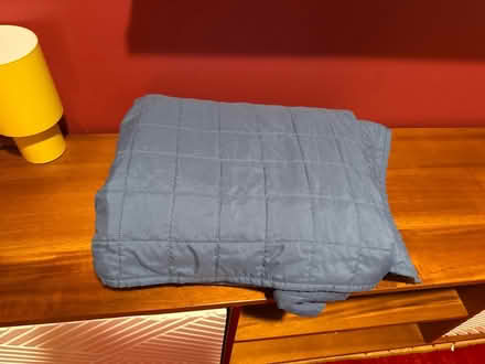 Photo of free Twin quilt (Shaw) #1