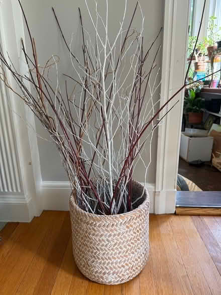 Photo of free Display of decorative sticks (Belmont) #1
