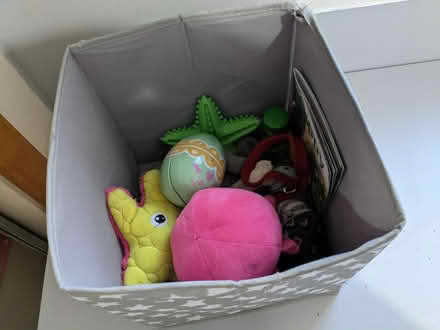 Photo of free Puppy / small dog bundle (EH5, Granton, Edinburgh) #3