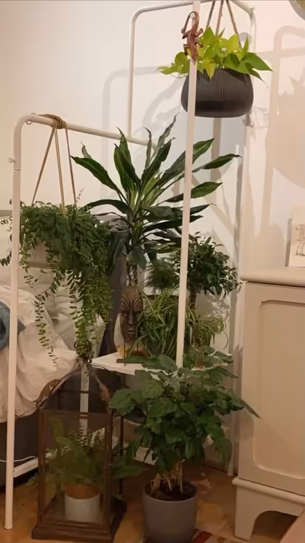 Photo of free NIKKEBY clothes rack / plant stand (SW17) #1