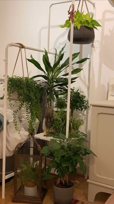 Photo of free NIKKEBY clothes rack / plant stand (SW17) #1