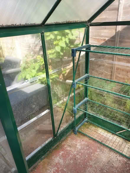 Photo of free READ ALL DETAIL PLS! Greenhouse (ME16 - Allington) #4