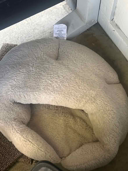Photo of free Cat bed (San Jose) #1
