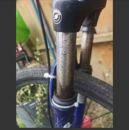 Photo of free Giant mountain bike (Hedge end) #1