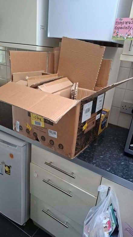 Photo of free Moving boxes (Tottenham N18) #1