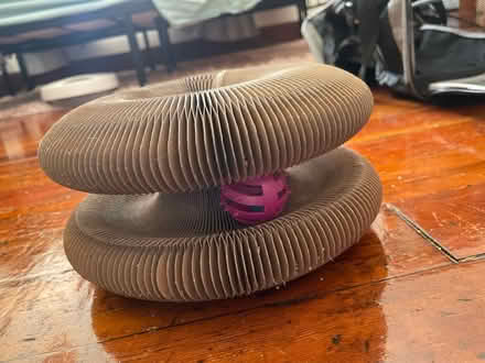 Photo of free Cat toy (dtla) #3