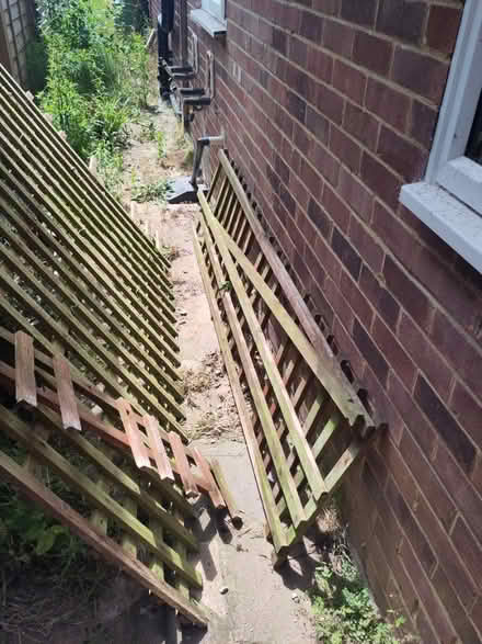 Photo of free Old garden trellis (Bexhill old town, TN40) #2