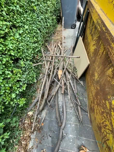 Photo of free Sticks for firewood/ kindling (Dore, S17) #2