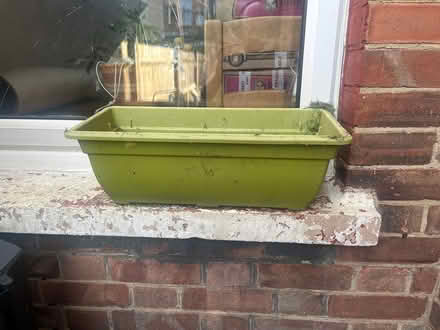 Photo of free Assorted plant pots (Wood Green N22) #3