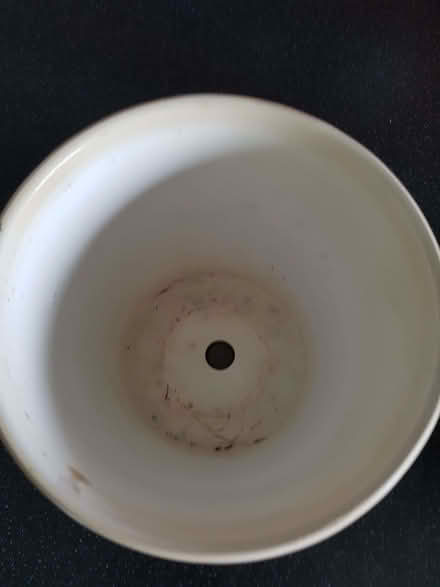 Photo of free Plant pot. 5 inches or 13cm tall. 5 inches at widest. (Northop Hall CH7) #2