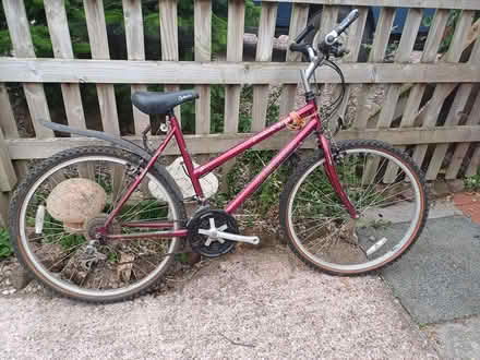 Photo of free Bike (TF9) #1