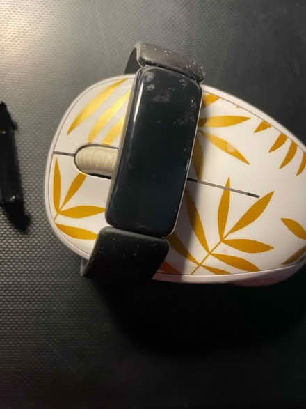 Photo of free Women’s FitBit with charger (South San Jose) #1