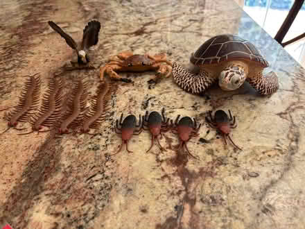 Photo of free Animal Toys (Erin Mills&QEW) #1